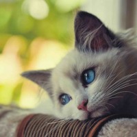 Đánh giá của người chơi Liễu Thùy My tại 8day